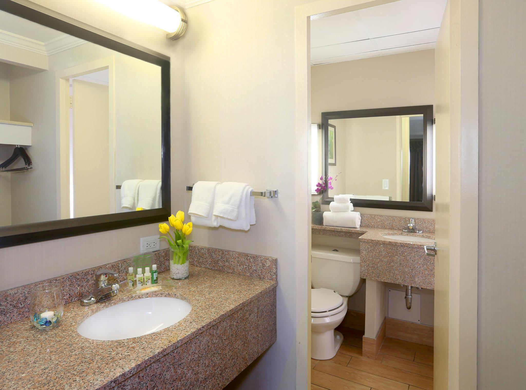Holiday Inn Binghamton-Downtown Hawley Street By Ihg Eksteriør billede